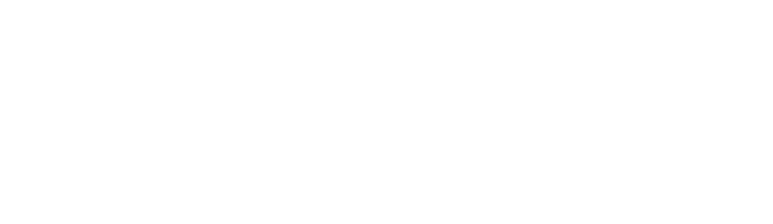 LogotypeH-WHITE-Distressed_MintedSF copy